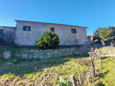 Moradia T3 Venda em Rio de Moinhos,Sátão