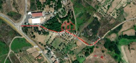 Terreno Rústico  Venda em Santiago de Cassurrães e Póvoa de Cervães,Mangualde