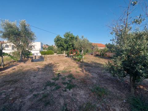 Terreno Rústico  Venda em Santiago de Cassurrães e Póvoa de Cervães,Mangualde