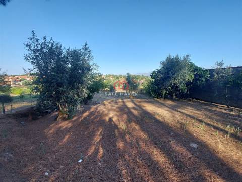 Terreno Rústico  Venda em Santiago de Cassurrães e Póvoa de Cervães,Mangualde