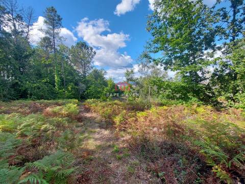 Terreno Rústico  Venda em Castelo de Penalva,Penalva do Castelo