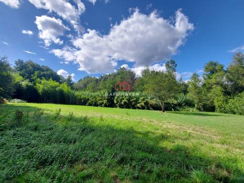 Terreno Rústico  Venda em Castelo de Penalva,Penalva do Castelo