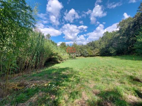 Terreno Rústico  Venda em Castelo de Penalva,Penalva do Castelo