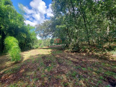 Terreno Rústico  Venda em Castelo de Penalva,Penalva do Castelo