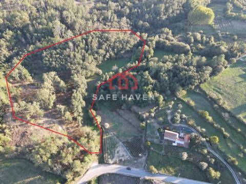 Terreno Rústico  Venda em Castelo de Penalva,Penalva do Castelo