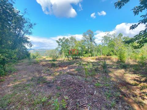 Terreno Rústico  Venda em Castelo de Penalva,Penalva do Castelo