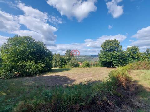 Terreno Rústico  Venda em Castelo de Penalva,Penalva do Castelo