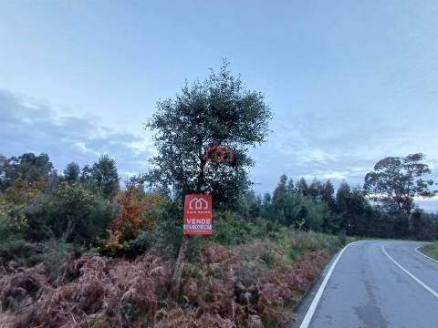 Terreno Rústico  Venda em Canas de Senhorim,Nelas