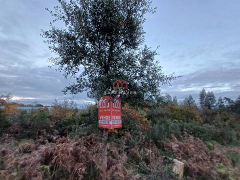 Terreno Rústico  Venda em Canas de Senhorim,Nelas
