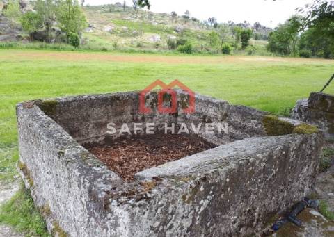 Quinta  Venda em Abrunhosa-a-Velha,Mangualde