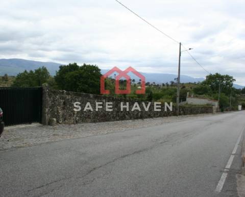 Quinta  Venda em Abrunhosa-a-Velha,Mangualde