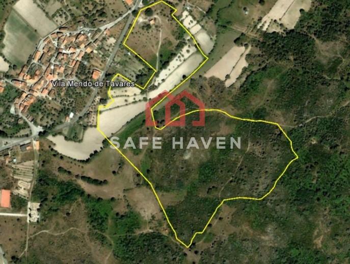 Quinta  Venda em Abrunhosa-a-Velha,Mangualde