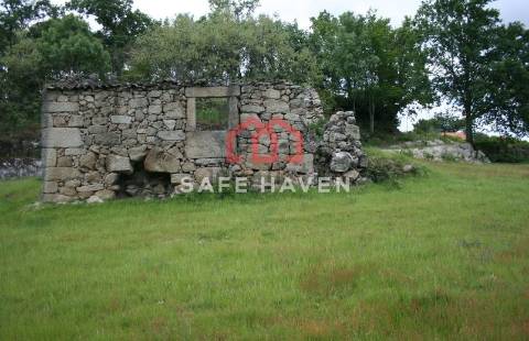 Quinta  Venda em Abrunhosa-a-Velha,Mangualde