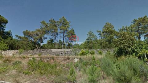 Lote de Terreno  Venda em Mangualde, Mesquitela e Cunha Alta,Mangualde
