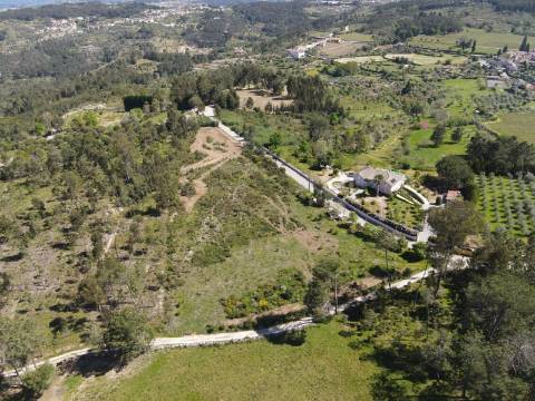 Terreno Para Construção  Venda em Fornos de Maceira Dão,Mangualde