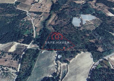 Terreno Rústico  Venda em Pindo,Penalva do Castelo