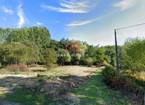 Terreno Rústico  Venda em Pindo,Penalva do Castelo