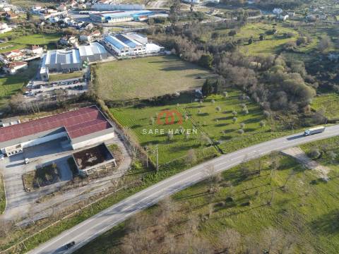 Quinta  Venda em Mangualde, Mesquitela e Cunha Alta,Mangualde