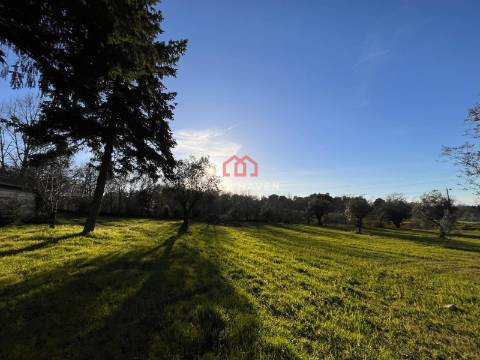 Quinta  Venda em Mangualde, Mesquitela e Cunha Alta,Mangualde