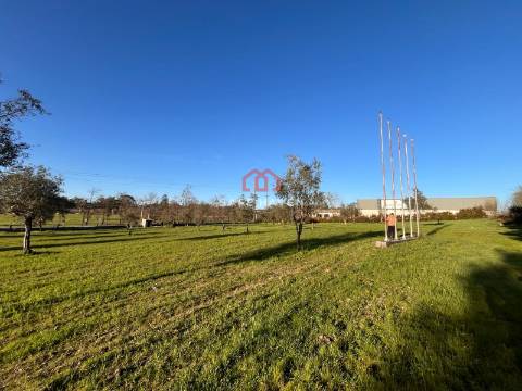 Quinta  Venda em Mangualde, Mesquitela e Cunha Alta,Mangualde