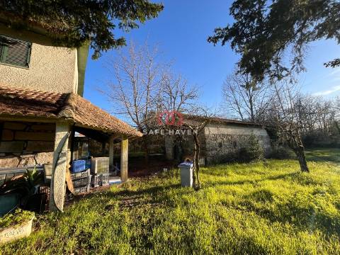 Quinta  Venda em Mangualde, Mesquitela e Cunha Alta,Mangualde