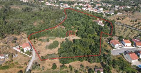 Quinta T6 Venda em Mangualde, Mesquitela e Cunha Alta,Mangualde