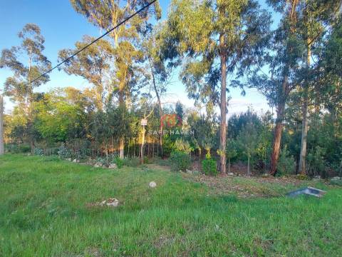 Terreno Para Construção  Venda em Mangualde, Mesquitela e Cunha Alta,Mangualde