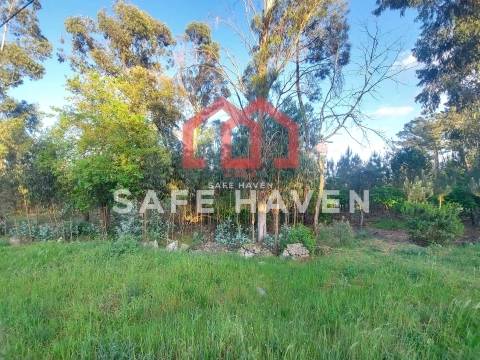 Terreno para construção, a apenas 2 minuto do centro de Mangualde.