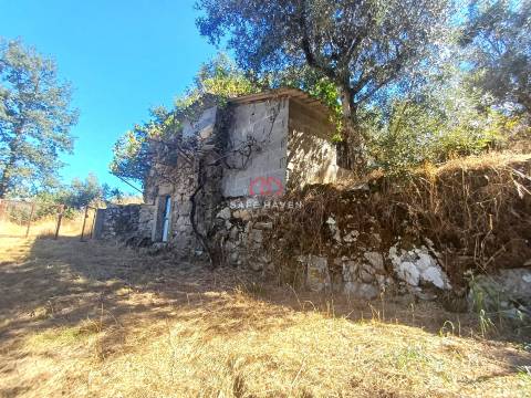 Terreno  Venda em Tavares (Chãs, Várzea e Travanca),Mangualde