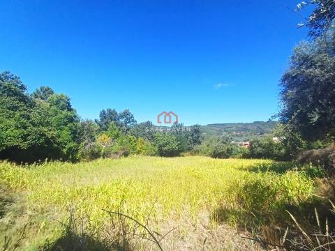 Terreno  Venda em Tavares (Chãs, Várzea e Travanca),Mangualde