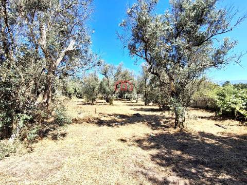 Moradia T2 Venda em Abrunhosa-a-Velha,Mangualde