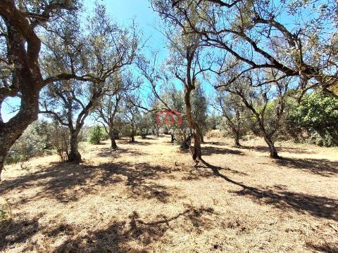 Moradia T2 Venda em Abrunhosa-a-Velha,Mangualde
