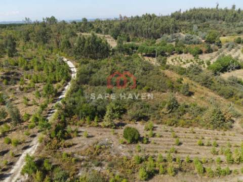 Quinta, Cunha Baixa, Mangualde, Viseu