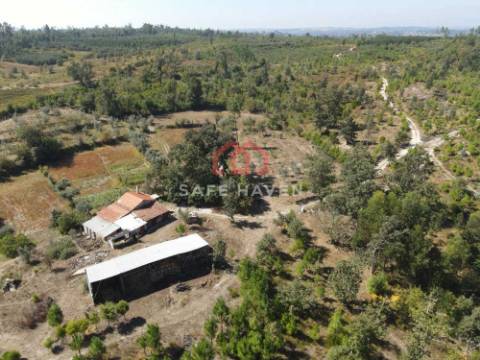 Quinta, Cunha Baixa, Mangualde, Viseu