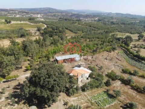 Quinta, Cunha Baixa, Mangualde, Viseu
