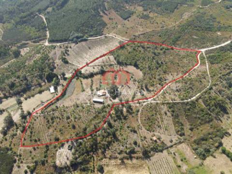 Quinta, Cunha Baixa, Mangualde, Viseu