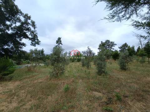 Quinta, Cunha Baixa, Mangualde, Viseu