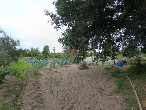 Quinta, Cunha Baixa, Mangualde, Viseu