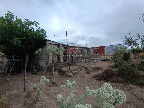 Quinta, Cunha Baixa, Mangualde, Viseu