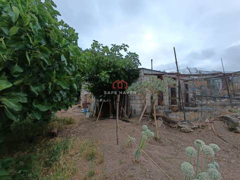 Quinta, Cunha Baixa, Mangualde, Viseu