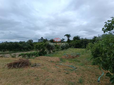 Quinta, Cunha Baixa, Mangualde, Viseu