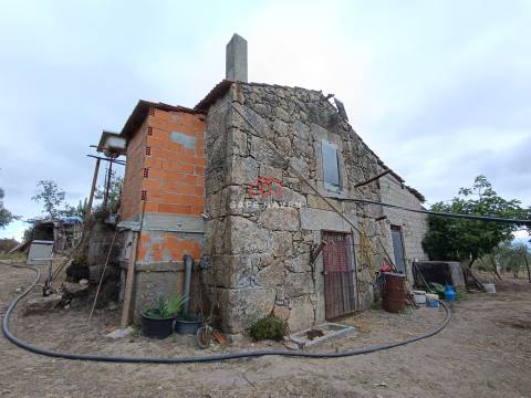 Quinta, Cunha Baixa, Mangualde, Viseu