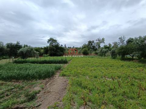 Quinta, Cunha Baixa, Mangualde, Viseu