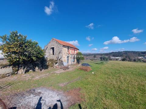 Quintinha T0, Viseu, Mangualde