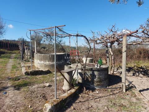 Quintinha T0, Viseu, Mangualde