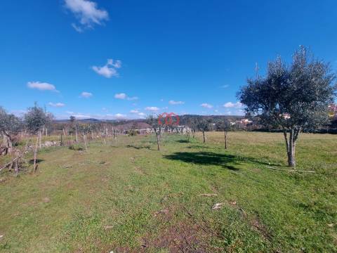 Quintinha T0, Viseu, Mangualde