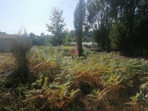 Terreno Rústico  Venda em Moimenta de Maceira Dão e Lobelhe do Mato,Mangualde
