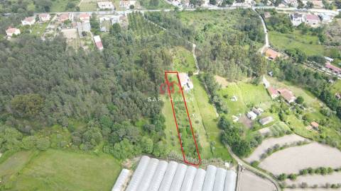 Terreno Rústico  Venda em Moimenta de Maceira Dão e Lobelhe do Mato,Mangualde