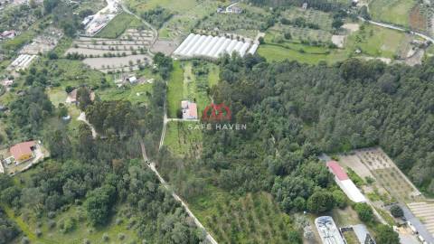 Terreno Rústico  Venda em Moimenta de Maceira Dão e Lobelhe do Mato,Mangualde