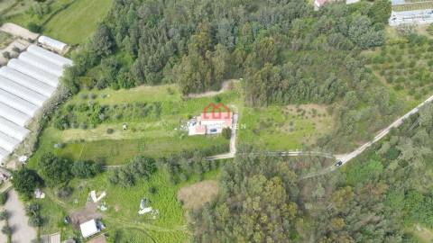 Terreno Rústico  Venda em Moimenta de Maceira Dão e Lobelhe do Mato,Mangualde